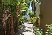 Engenho Velho Estalagem Hotel Arco da Calheta  Ngoại thất bức ảnh